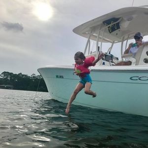 Meet your Posher, Tayler